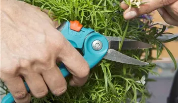 Gardena Balkonschere city gardening