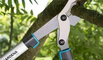 Gardena Astschere EnergyCut 600 B