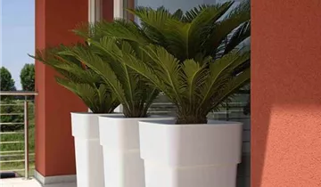 Euro3plast Pflanzkübel mit Pflanzeinsatz 37 cm weiß