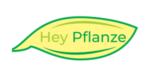 Hey Pflanze