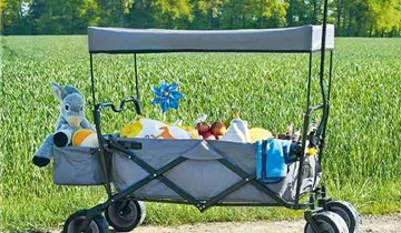 Pinolino Klappbollerwagen Paxi, grau 