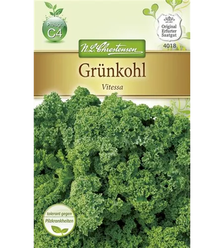 Grünkohlsamen 'Vitessa'