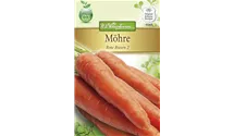 Daucus carota var. sativus 'Rote Riesen 2'