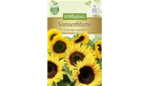 Helianthus annuus 'Sunbright'