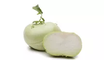 Brassica oleracea var. gongylodes 'Gigant'