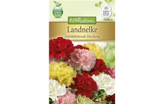 Gefüllte Gartennelkensamen