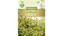 Brassica alba, Gründüngung