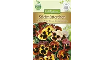 Viola x wittrockiana 'Frühe Riesen'