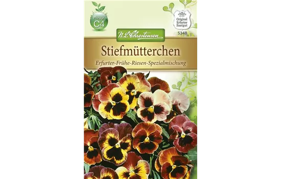 Stiefmütterchensamen 'Frühe Riesen'