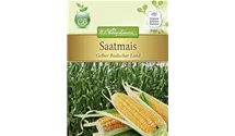 Zea mays 'Gelber Badischer Land'