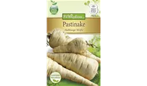 Pastinaca sativa 'Halblange Weiße'