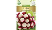 Raphanus sativus var. sativus 'Rundes Halbrot-Halbweiß'