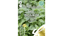 Ocimum basilicum 'Thai'