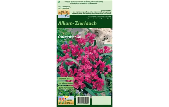 Asiatischer Berglauch