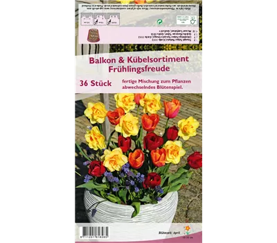 Balkon-& Kübelsortiment 'Frühlingsfreude'