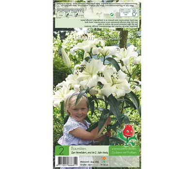 Baumlilie 'Pretty Woman'