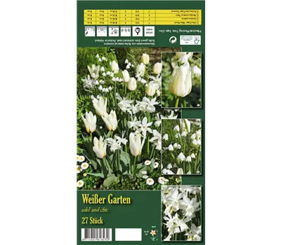 Blumenzwiebelsortiment 'Weißer Garten'