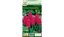 Blumenzwiebel Set 'Rosarotes Meer'