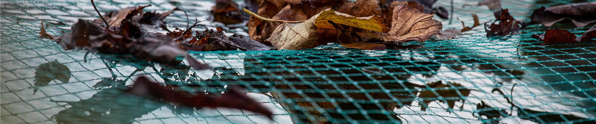 Teichnetz - Frostschutz