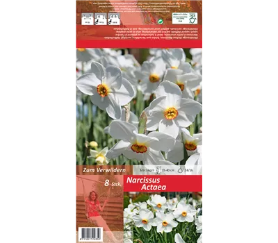 Garten-Dichter-Narzisse 'Actaea'