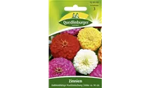 Zinnia elegans Dahlienblütig