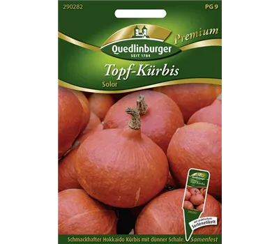 Hokkaidokürbissamen 'Solor'