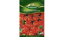 Tropaeolum minus 'Jewel Cherry Rose'