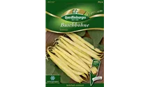 Phaseolus vulgaris var. nanus 'Sonesta'