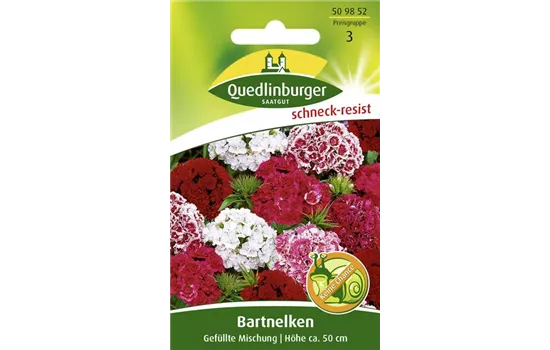 Gefüllte Bartnelke-Samen