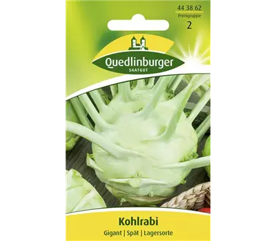 Kohlrabisamen 'Gigant'