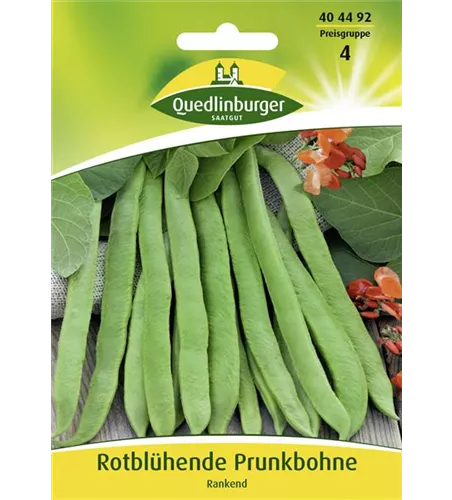 Prunkbohnensamen 'Rotblühende'