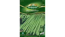 Phaseolus vulgaris var. nanus 'Apollo'