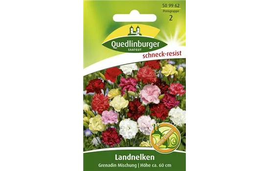 Gartennelkensamen 'Grenadin'