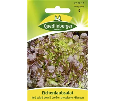 Eichblattsalatsamen 'Red Salad Bowl'