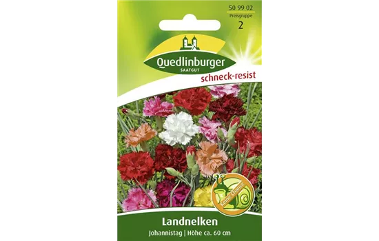 Gartennelkensamen 'Johannistag'