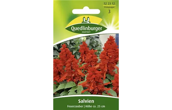 Feuer-Salbei-Samen 'Feuerzauber'