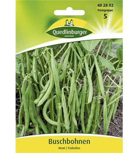 Buschbohnensamen 'Maxi'
