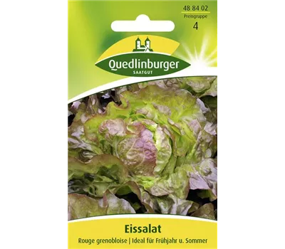 Eisbergsalatsamen 'Rouge Grenobloise'