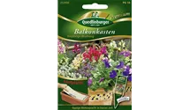 Balkonblumen, einjährig