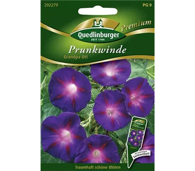 Trichterwindensamen 'Grandpa Ott'