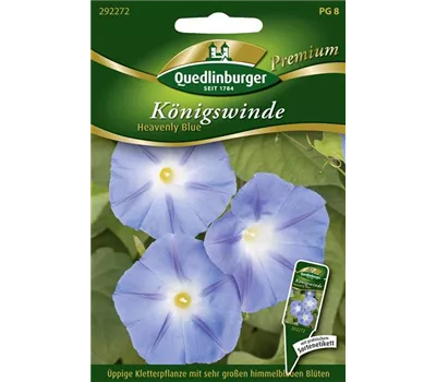 Trichterwindensamen 'Heavenly Blue'