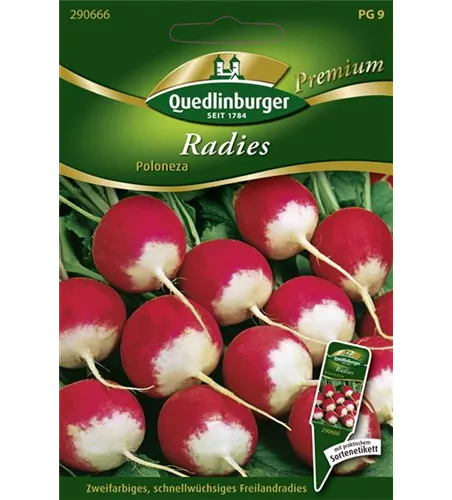 Radieschensamen 'Poloneza'