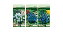 Blumenzwiebel Set 'Blue Star'