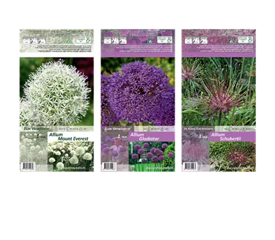 Blumenzwiebel Set 'Bunter Zauber'