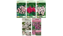 Blumenzwiebel Set 'Rosarotes Meer'