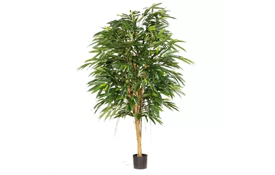 fleur ami LONGIFOLIA ROYAL Kunstpflanze