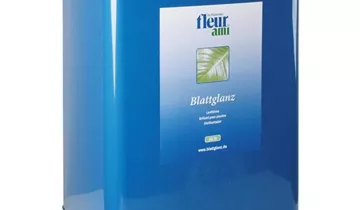fleur ami Fleur ami Blattglanz