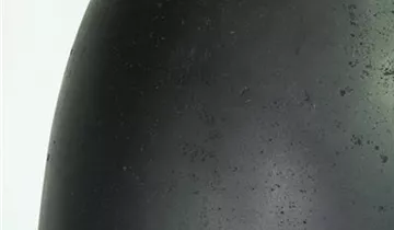 fleur ami POLYSTONE ESSENCE Pflanzgefäß
