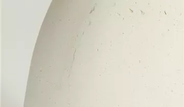 fleur ami POLYSTONE ESSENCE Pflanzgefäß