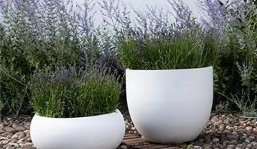 fleur ami TRIBECA SHAPE Pflanzkübel